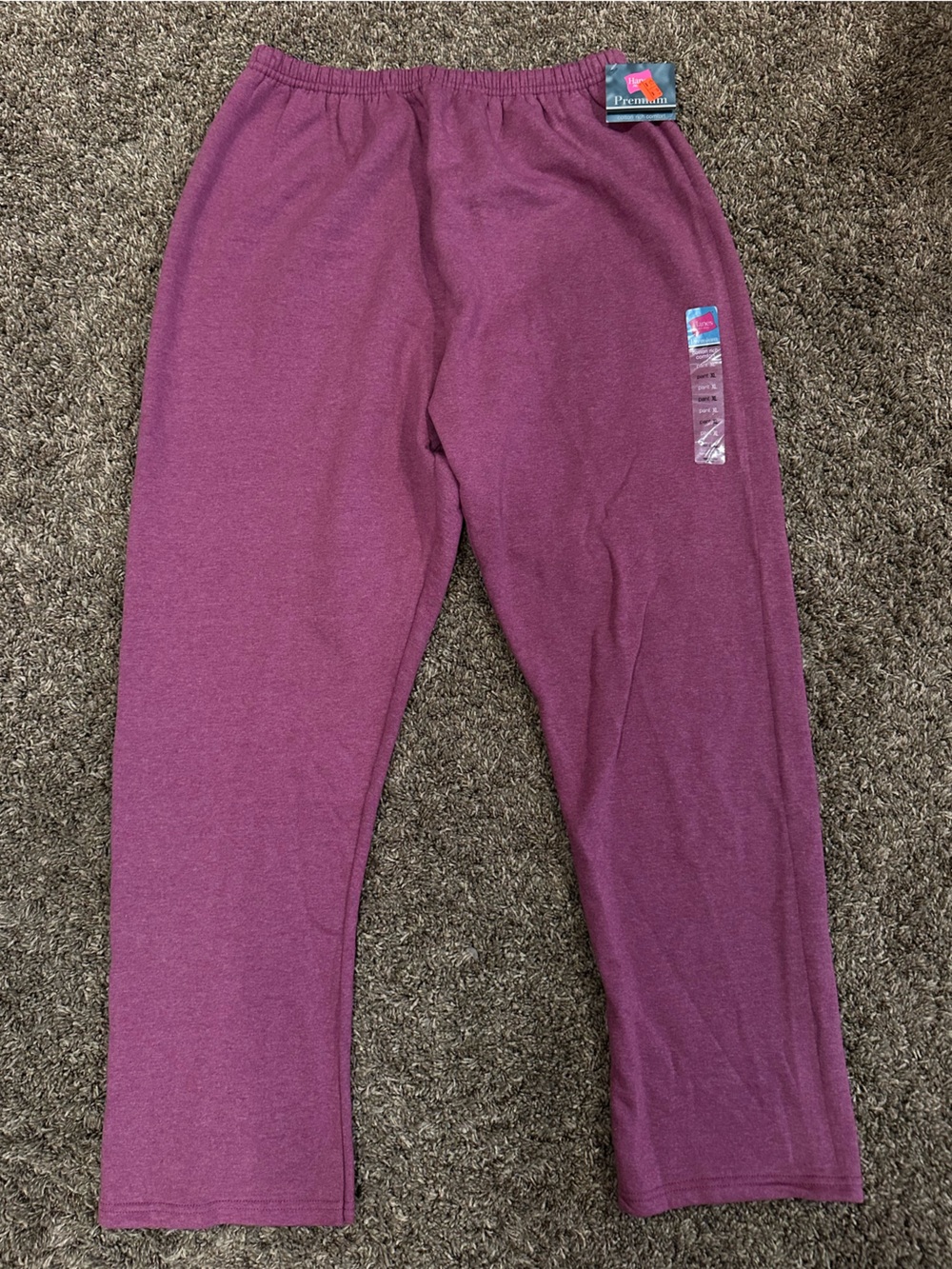 Hanes Sweatpants in Plum